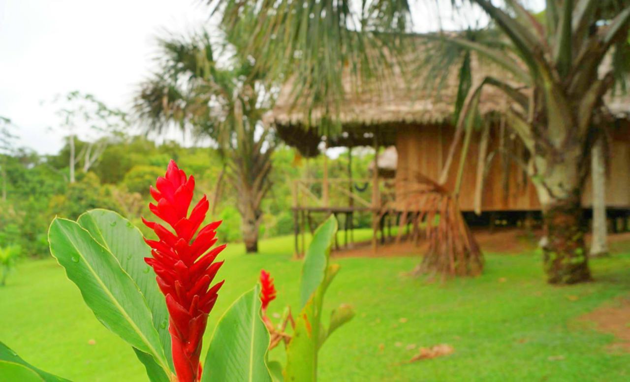 Pacaya Samiria Amazon Lodge Nauta ภายนอก รูปภาพ